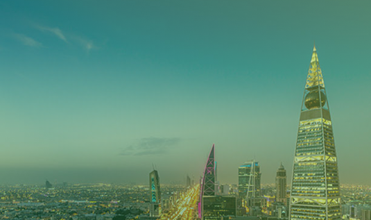 Digital Leadership & Sustainable Future